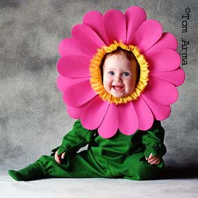 TA64FlowerCD11