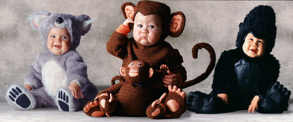 Koala, Monkey with doll, and Gorilla baby costumes from the Tom Arma Signature collection for Halloween designed by renown baby photographer Tom Arma.